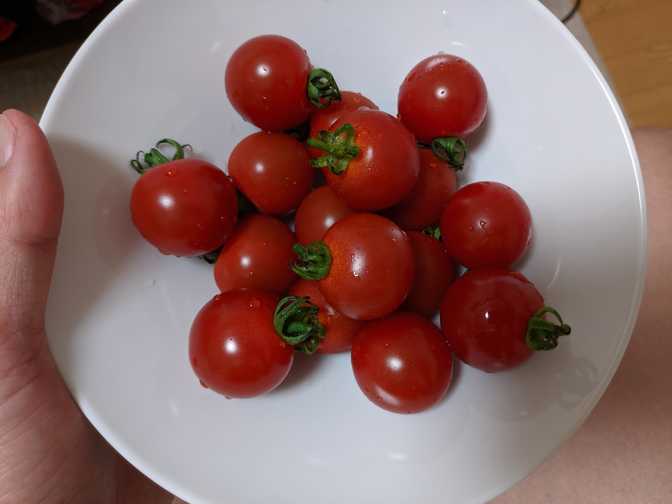 Home, Ootsuka: sweet, juicy, firm. I had to buy these when I saw them at
Lawson since I hadn't really had fruit properly in ages. Absolutely delicious,
but 257 JPY.