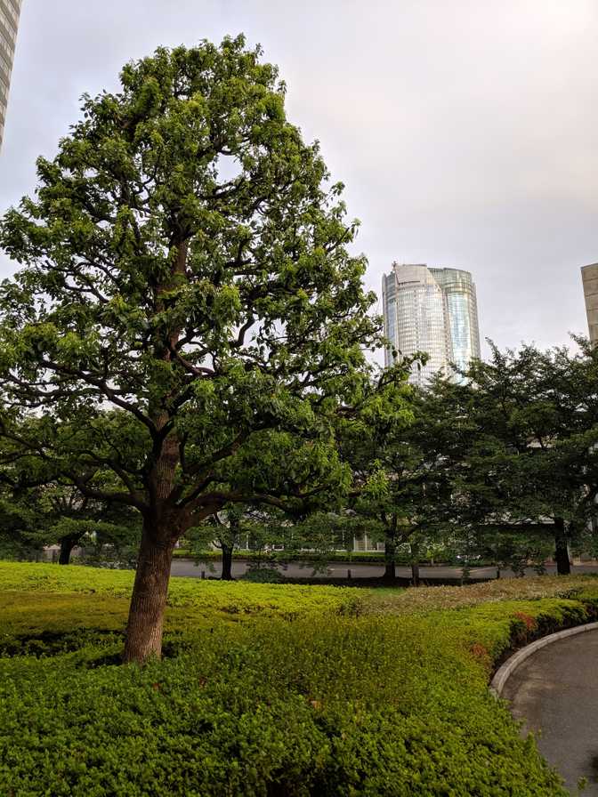 Outside the front entrance. You know you're near Roppongi if you can see the
Roppongi Hills Mori Tower.