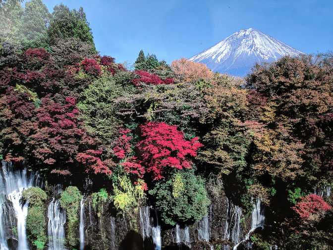 A nice picture with autumn leaves and Mount Fuji in the background.