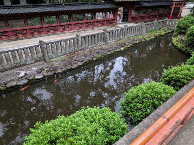 A platform overlooking a pond with koi and turtles.