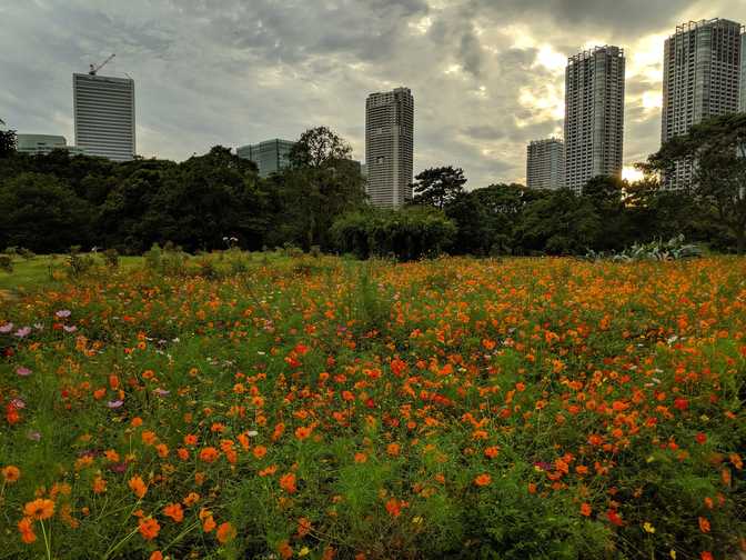 This was the flower garden and I was a bit disappointed by it. Perhaps I
came in the wrong season.