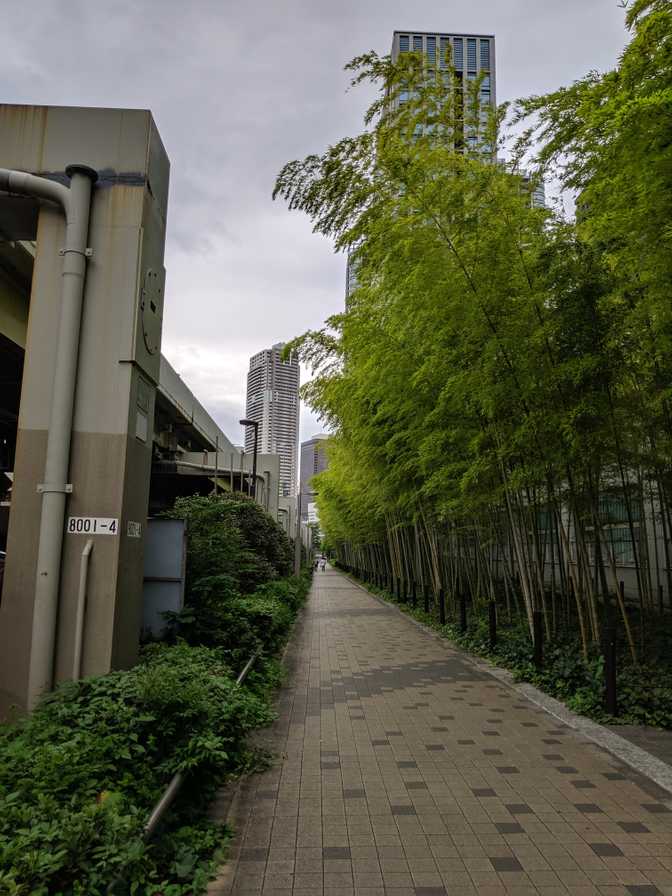 Shiodome: on the way to Hamarikyu Gardens.