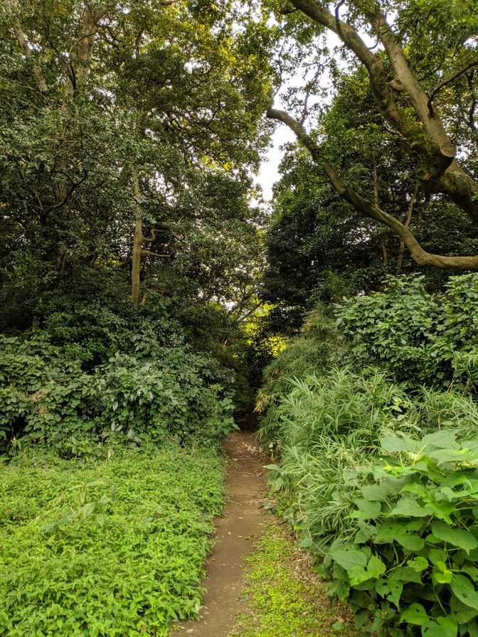 This was a path on the map, but it looked narrow and I wouldn't want to
walk into a spider web either.