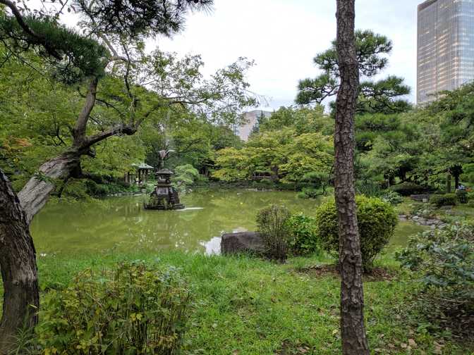 The other side of the same pond. There's a fountain in this one 😮.