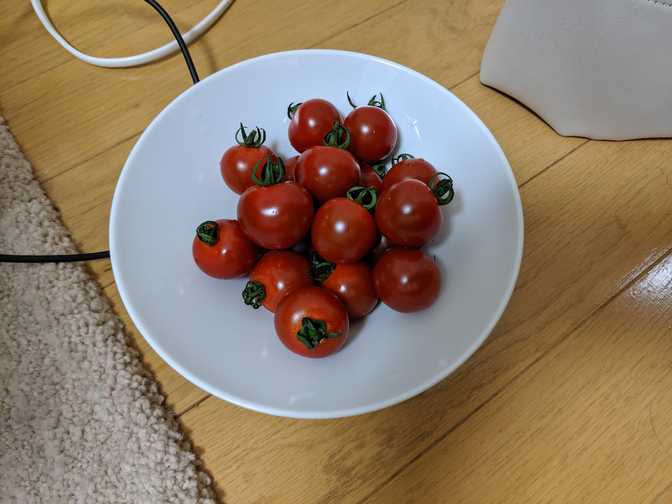 Tomatoes which I bought from yesterday. No-brainer since they were so good the
day before. I also bought a 900mL milk tea carton on the way home,
but forgot to take a picture.