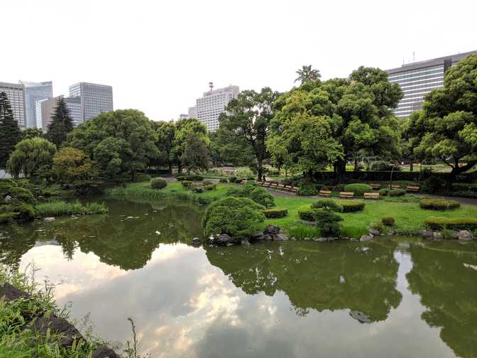 Looking out at more pond and park.