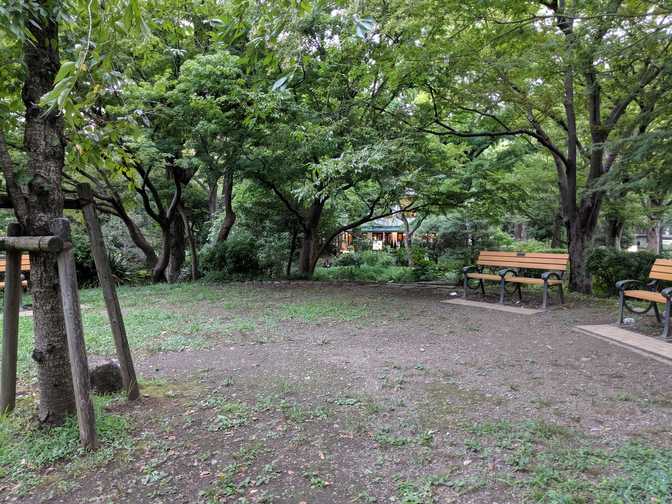 Sit here if you want to hear cicadas (they were super loud around the entire
park).