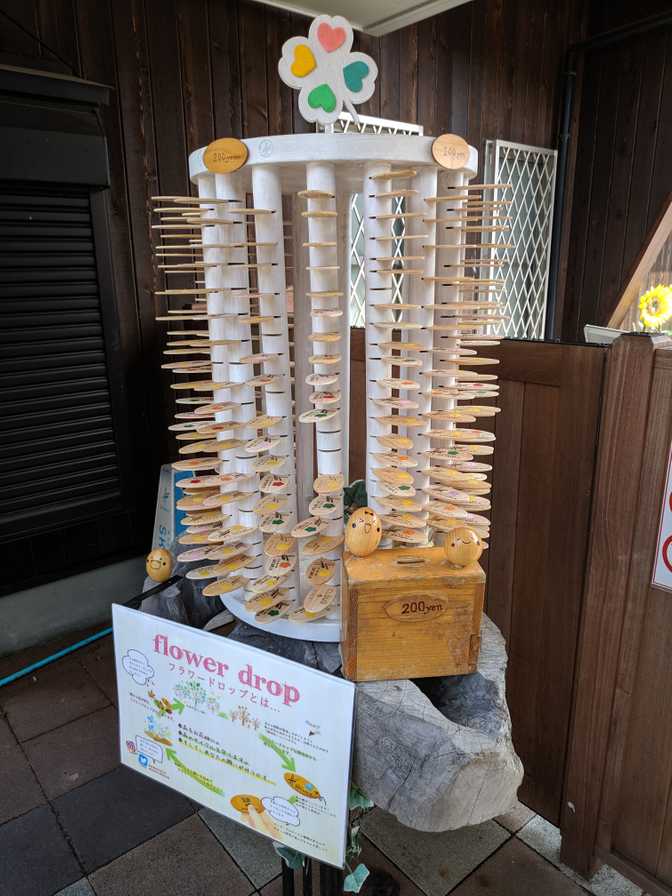 You can write wishes on these then drop them off the bridge. They're just
wood containing a seed, so I guess your wish is supposed to sprout on the
valley floor or something.