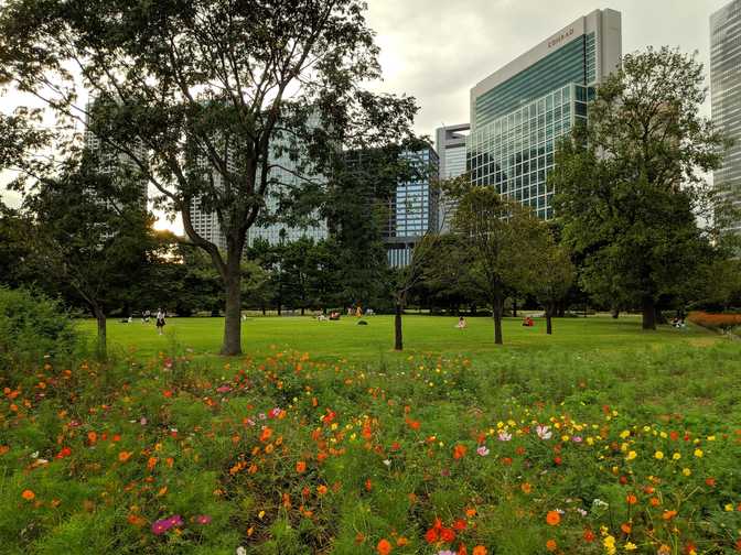 A nice grassy field behind.