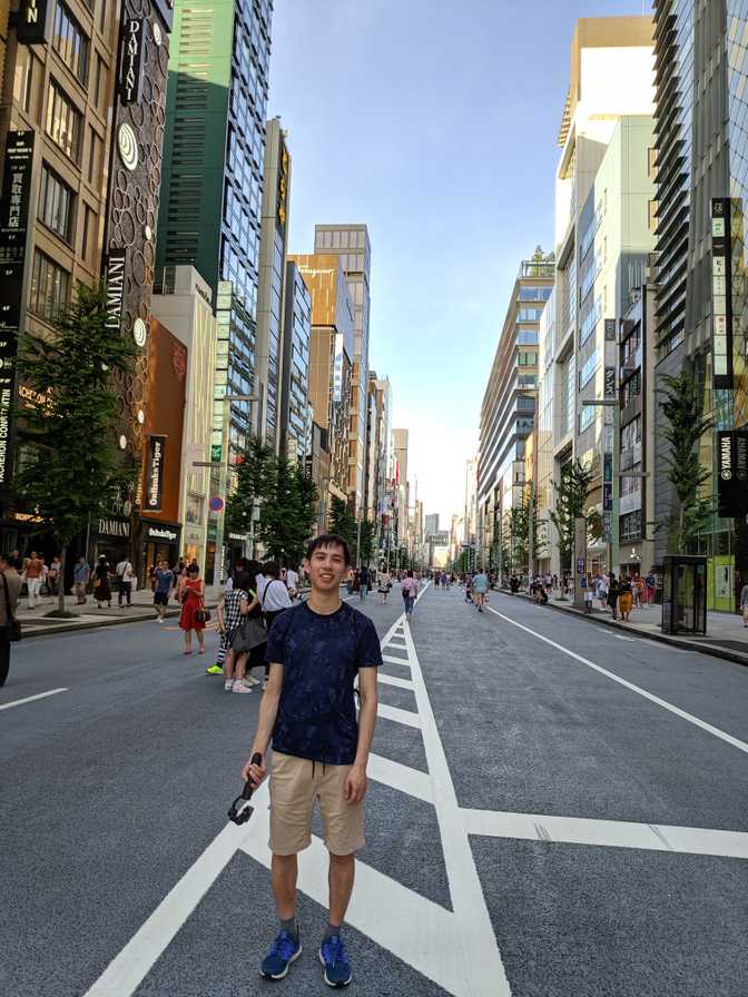 Nice view down Ginza's main street. The colour of the road was noticeably
unique too, which made it nicer.