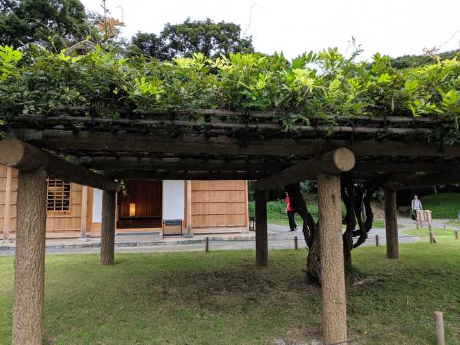 The cover all comes from the one tree. That's a teahouse behind.