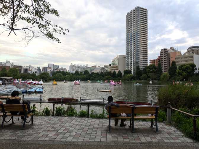 Looking out towards the Boat Pond.