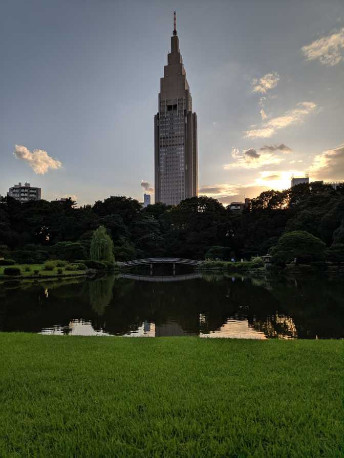 It was hard to get properly lit pictures due to the bright sky but dark
trees, but Google image processing is pretty
good.