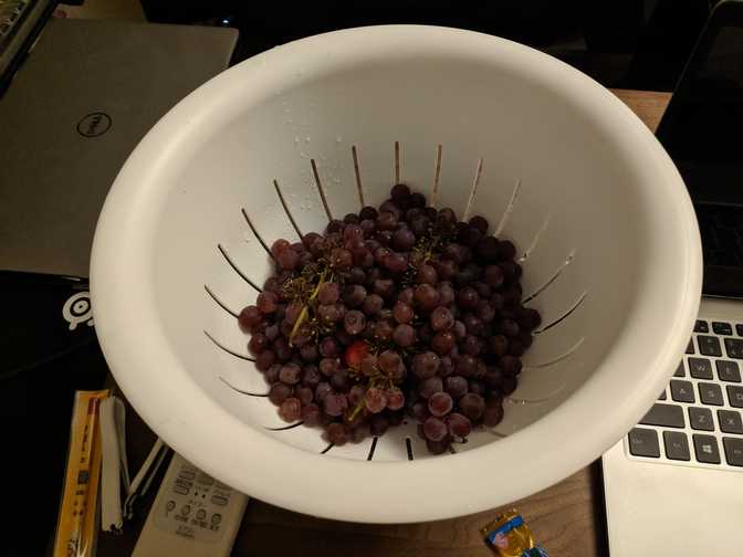 I'd stupidly bought grapes and tomatoes before going on the roadtrip, and
even though I left them in the fridge, they were starting to show their age.
The grape and tomato skin was no longer firm and supple. I also understand
now why these grapes were cheap, they're just balls of
skin!